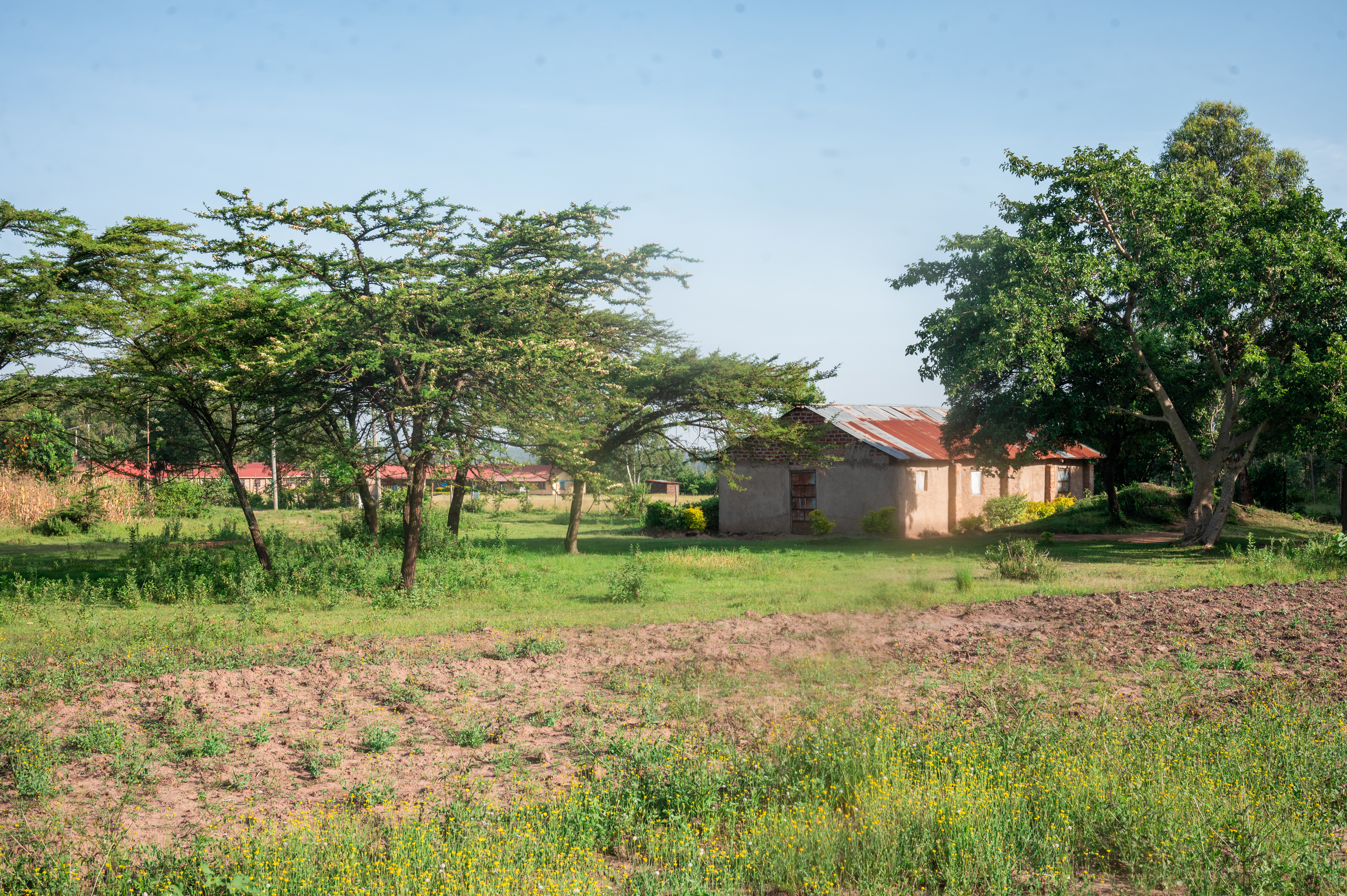 Gosese GMC branch photo 1