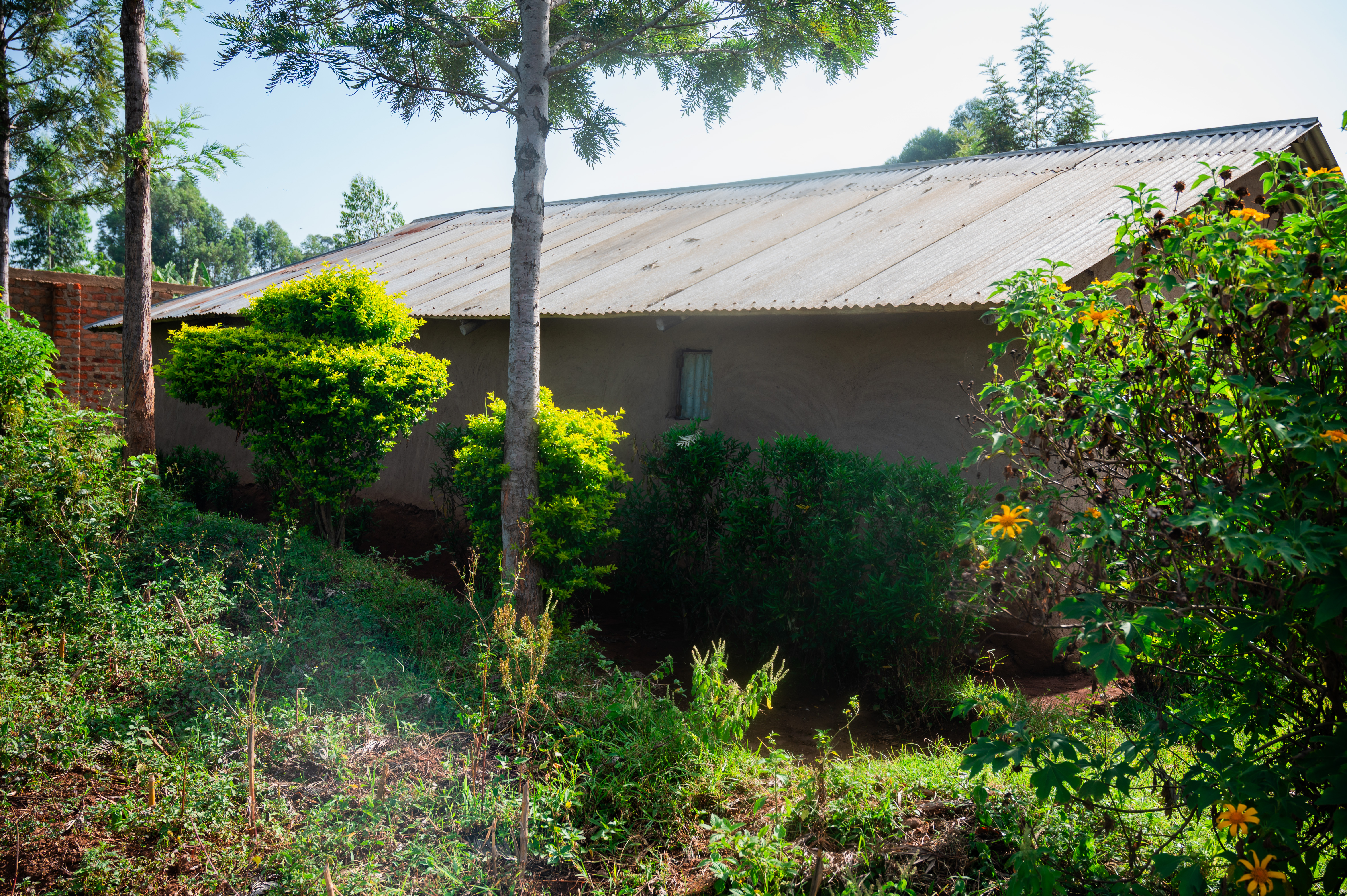 Ntiyange GMC branch photo 3